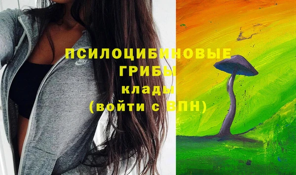 прущая мука Белокуриха